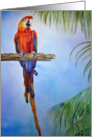 Rainbow Parrot Bird Palm Tree Watercolor Painting Blank Card