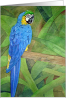 Cyan Blue Parrot Bird Palm Tree Watercolor Painting Blank Card
