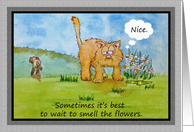 Encouragement Funny Humor Cat Dog You Can Do It Card