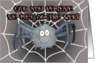 Love Romance Met on the Web Funny Spider I love You Card