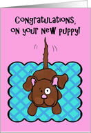 Congratulations New Puppy Whimsical Wagging Tail Dog card