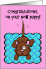 Congratulations New Puppy Whimsical Wagging Tail Dog card