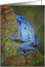 Miss You Brillliant Blue Poison Dart Frog card