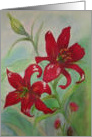Brilliant Red Flowers Thinking of You Paper Card