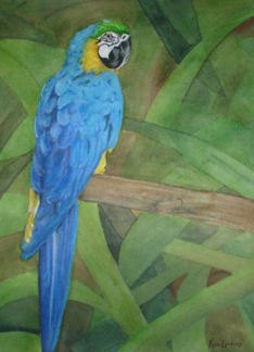 Parrot Bird...
