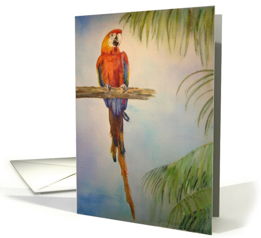 Bright Bold Color Rainbow Tropical Vacation Parrot card (89202)