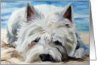 Westie West Highland Terrier Dog -Beach Bum card