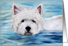 Westie West Highland Terrier Dog -Furry Dippin card