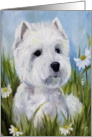 Westie West Highland Terrier Dog -In the Daisies card