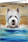 Westie West Highland Terrier Dog -Salty Dawg card