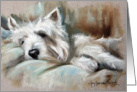 Westie West Highland Terrier Dog -Languor card