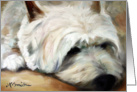 Westie West Highland Terrier Dog -Dog Tired card