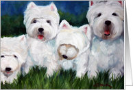 Westie West Highland Terrier Dog -Squeeze card