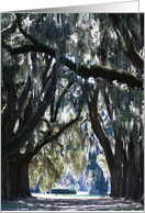 Cathedral Ford Plantation card