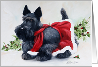 Scottish Terrier Christmas Card