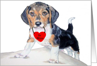 Valentine Beagle card