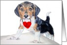Valentine Beagle card