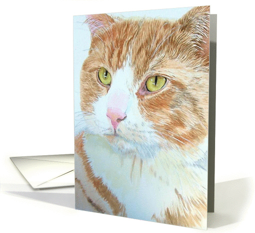 Snickers the Cat card (172555)