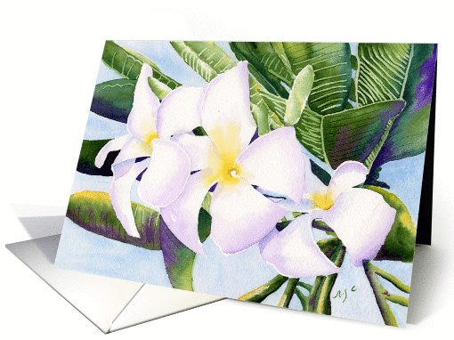 Frangipani card (43693)