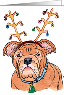 Christmas Brown Bulldog card