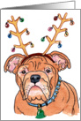 Christmas Brown Bulldog card