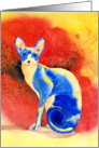 Sphynx Cat #3 card