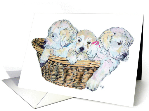 Retriever Pups card (47920)