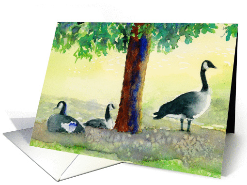 Canadian Geese card (48124)