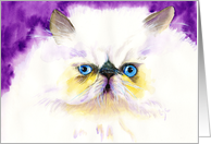 Himalyan Cat card