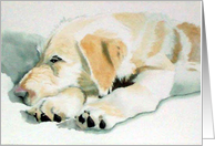 Sleepy Pup 2 card