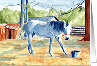 Blue Bell card