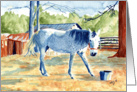 Blue Bell card