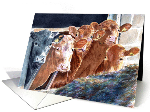 Calves at Brunch card (58838)