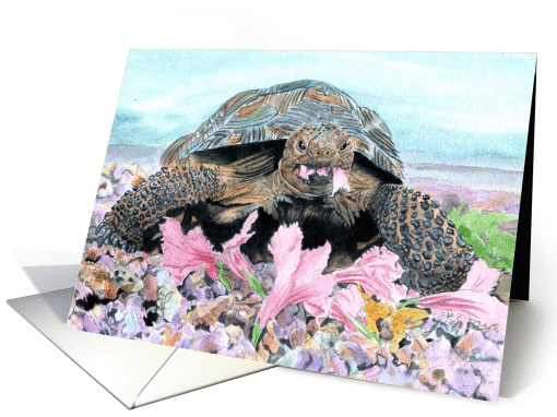 Roxy the Turtle card (81856)