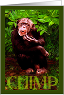 Vangogh Chimp card