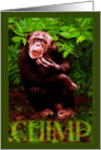 Vangogh Chimp card