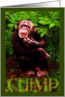 Vangogh Chimp card