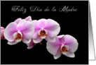 Feliz Dia de la Madre Spanish mother’s day orchids card