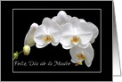 Spanish Mother’s Day white orchids card