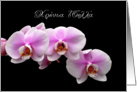 Pink orchids for Greek Name Day card