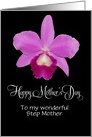 customizable Mother’s day for Step Mother with isolated cattleya orchid card