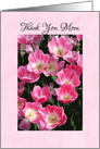 Thank you for mom on mother’s day with pink tulips card