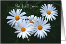 white daisies get well soon card