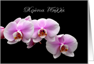 Pink orchids for...