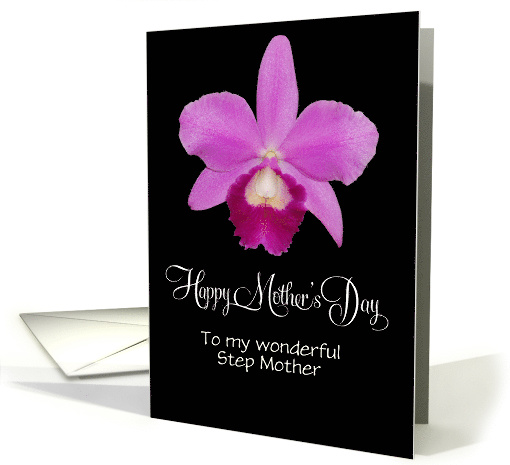 customizable Mother's day for Step Mother with isolated... (1425572)