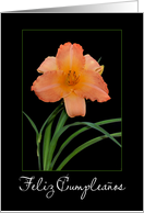 Spanish Birthday greeting card with daylily card