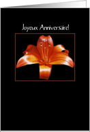 Joyeux Anniversaire...