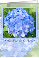 happy mother’s day spanish card