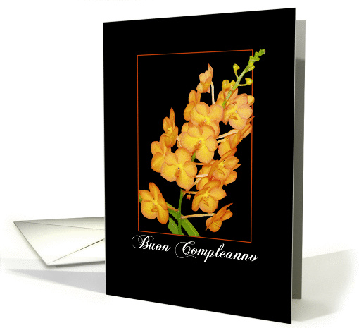 Happy Birthday Italian card (208354)