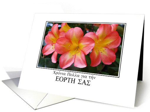 name day greetings in Greek with Clivia card (243414)
